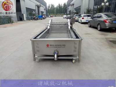 革新食品加工 深度解析FX-1000新型紫苏叶清洗机的卓越性能